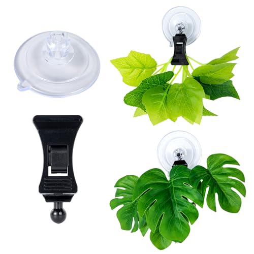 SLSON Fishes Veggie Seaweed Plant Suction Cup Clip Feeding Tool Feed Holder Aquarium Accessories for Fish Tank Fish Feeder Clips (6Pack Black) - color: 6Pack Black