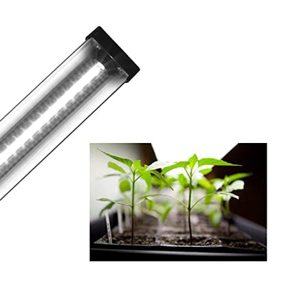 2ft Horticultural LED Grow Light Bar, 24W High Output White, Full Spectrum 6400K for Indoor Gardening, Bioactive Terrariums & Vivarium/Paludariums