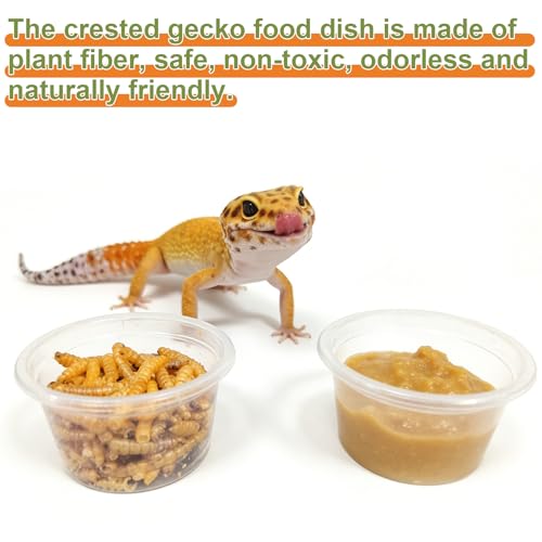 Tfwadmx 1oz 500pcs Gecko Feeding Cups, Reptile Food Dish and Water Cups Reptile Feeding Bowls Gecko Tank Accessories for Lizards Snake Crabs (1oz 500pcs) - size: 1oz 500 pcs