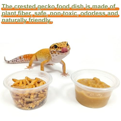 Tfwadmx 1oz 500pcs Gecko Feeding Cups, Reptile Food Dish and Water Cups Reptile Feeding Bowls Gecko Tank Accessories for Lizards Snake Crabs (1oz 500pcs) - size: 1oz 500 pcs