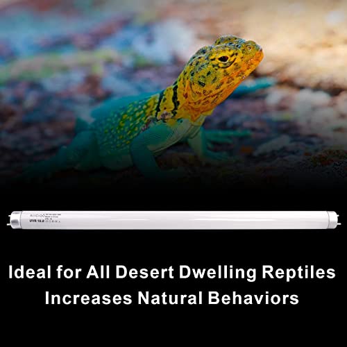 Aiicioo T8 UVB Reptile Light - 10.0 15W Reptile Fluorescent Light Bearded Dragon Desert UVB Bulb 18 inch 15 watt for Chameleon Tortoise Reptile and Amphibian - style: T8 Tube-15W 10.0