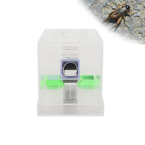 Acrylic Feeding Cricket Keeper, Cricket Keeper with Feces Layer Acrylic with Tubes for Observation of Breeding(S)
