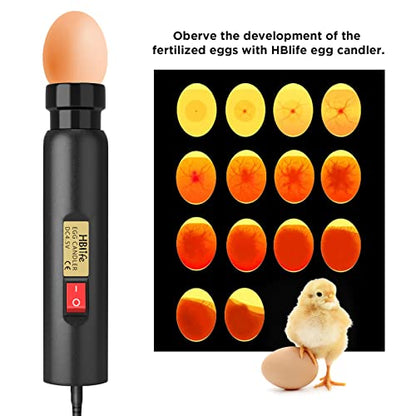 HBlife Wired LED Egg Candler, Bright Cool Light Egg Candler Tester for Monitoring Egg Development - style: modern