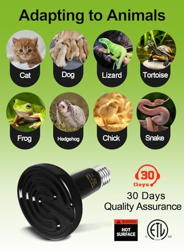 2-Pack 75W Ceramic Heat Lamp with 1-pcs Digital-Thermometer | No Light No Harm, Infrared Heater Emitter Bulbs for Reptiles, Amphibians, Chicken Brooder Coop Lizard Turtle Snake Aquarium