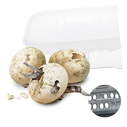 Didiseaon Reptile Hatching Incubation Box for Lizards and Snakes Dual Design for Eggs Sturdy Construction for Reptile Breeding and Scientific Research