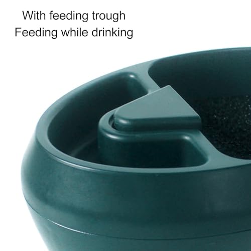 Tnfeeon Reptile Water Fountain Food Bowl Automatic Circulation System Waterfall Spout Lizard Water Dispenser with Food Trough for Bearded Dragon