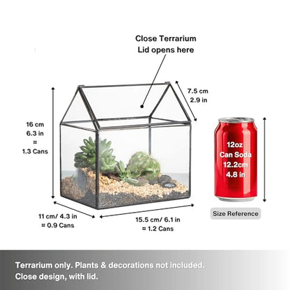 NCYP Small 6.1" x 6.3" x 4.33" Glass Terrarium Box with Lid for Succulent, Air Plants - House Shape Closed Geometric Planter Pot - Home Garden Tabletop Decoration, Black (No Plants)