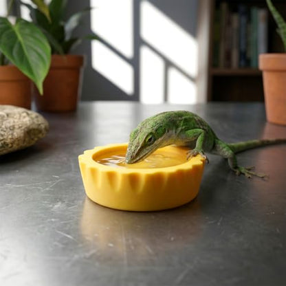 12 PCS Crested Gecko Food Dish, Reusable Reptile Water Dish Feeding Cups | Silicone Small Gecko Feeding Cups for Hermit Crab, Tarantula, Isopods, Snails and Lizard (6 Colors)
