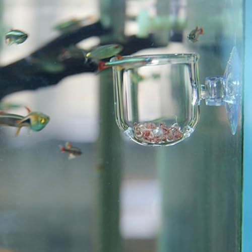 Aquarium Red Worms Feeder Live Insect Container Strong Suction Cup Feed for Small Tropical Fish (Perforated Glass Cup (Nematode Friendly))