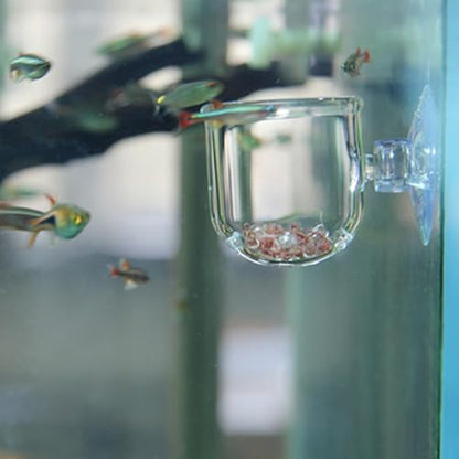 Aquarium Red Worms Feeder Live Insect Container Strong Suction Cup Feed for Small Tropical Fish (Perforated Glass Cup (Nematode Friendly))