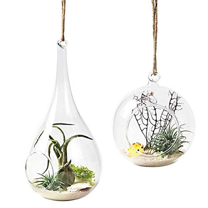Mkono Hanging Glass Terrarium, 2 Pack Air Plant Holder Globe Hanger Planter