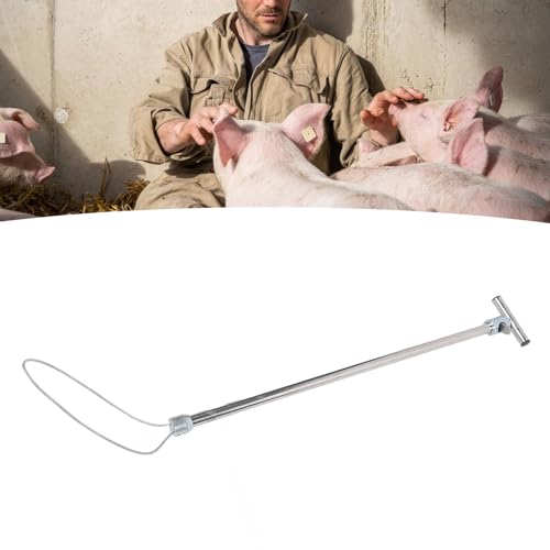 Hog Pig Catcher, Stainless Steel Animal Control Hog Pig Catcher Dog Catcher Pole Portable Animal Catcher Tools for Medium Sized Animals Reptiles (T Handle without Pull Rope 67cm)