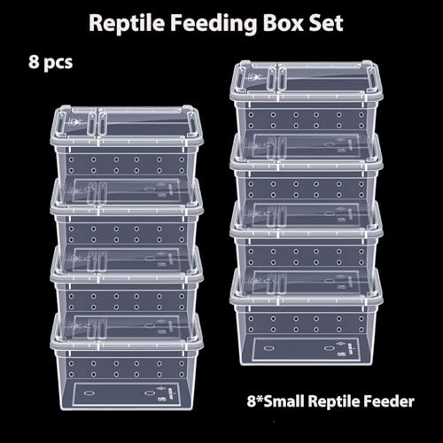 PINVNBY Reptile Feeding Box 8 PCS Snake Breeding Box Reptile Transport Container 7.48"x4.92"x2.95" Portable Habitat Plastic Cricket Cage for Lizard Spider Scorpion Gecko Tortoise Treefrog