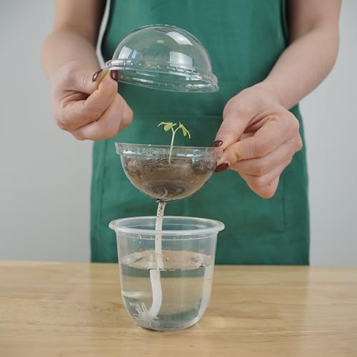 ORIMERC 30 Set Nursery Pots with Humidity Dome, Clear Nursery Pots with Drainage, Self Watering Small Plant Pots, Seedling Pots for Plants, Seed Starter Pots for Planting Vegetables Fruit Flower - size: 30 Pack