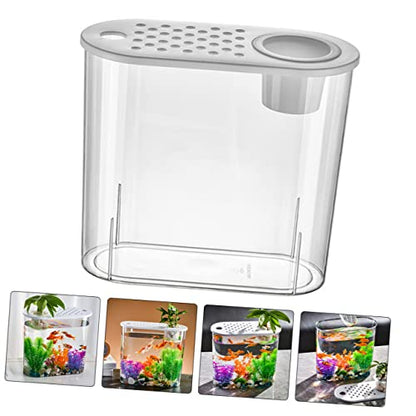 Transparent Plastic Fish Tank for and Small Reptiles Modern Desktop Aquarium Decoration Landscape Holder for Use