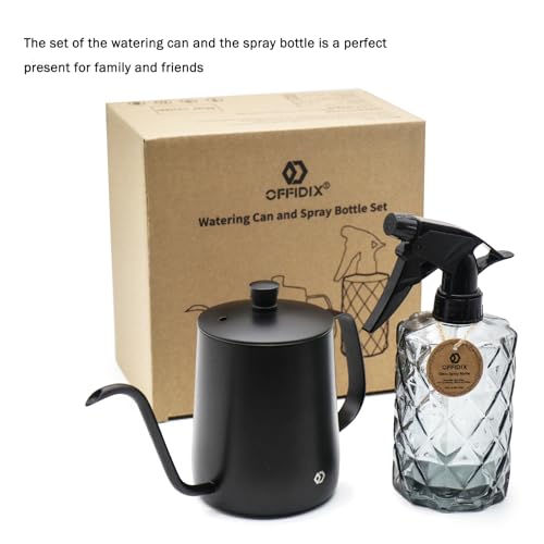 Watering Can for Indoor Plants, Black Water Can Spray Bottle 2 Pack | Long Spout Metal Stainless Steel 21 oz Watering Can with 14 oz Glass Plant Mister Spray Bottle for Plant Bonsai Water Can - color: Black Watering Can + Grey Spray Bottle