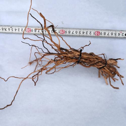 Natural Driftwood Root Trunk Tree Aquarium Decor, 10-30 CM | Randomly Bundled, Fish Tanks, Terrariums, Aquascaping & Planted Tanks