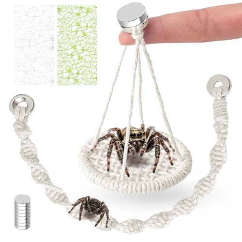 5 PCS Jumping Spider Rope Bridge Swings Set，Jumping Spider Webbed Moss Ribbon Tarantula Enclosure Accessories Natural Cotton Rope Handmade Pet Tiny Animals Enclosure Decorations - size: Style A
