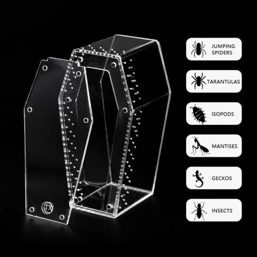 Installation-Free Acrylic Coffin Jumping Spider Enclosure - Gothic Terrarium Habitat with Magnetic Lid, Micro Reptile Breeding Box for Slings, Mantis, Isopods and Small Insects - color: transparent
