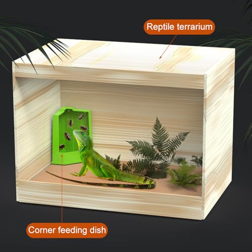 Bearded Dragon Feeder, Escapeproof Corner Reptile Feeder Box with Suction Cups for Lizard, Lguana, Gecko, Bearded Dragon - size: M