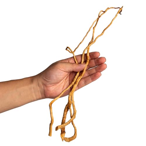 Natural Aquarium Driftwood, [170g] ( 20–40 cm /8–16 in) - Unique Root/Spider Wood Branches for Aquascaping, Planted Tanks & Terrariums, Fish & Plants Decoration, Each Piece One-of-a-Kind (Roots Only) - style: Roots Only