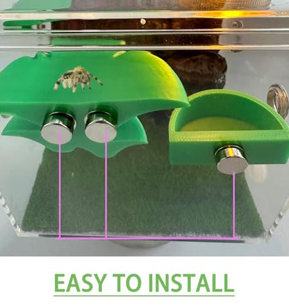 2 Pack Jumping Spider Accessories Mushroom Ledges & 1 Pack Water Bowl with Magnets for Spoods Jumping Spiders Magnetic Ledge Ladder Pet Spider Accessories - color: green