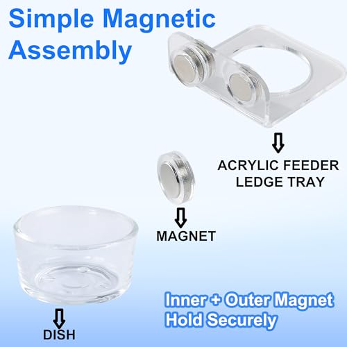 Magnetic Reptile Ledge - Acrylic Feeding Platform for Geckos & Spiders | Glass bowl & acrylic tray; for chameleon, bearded dragon, jumping spider; strong magnets; easy-clean; compact 2.6"x2.6"