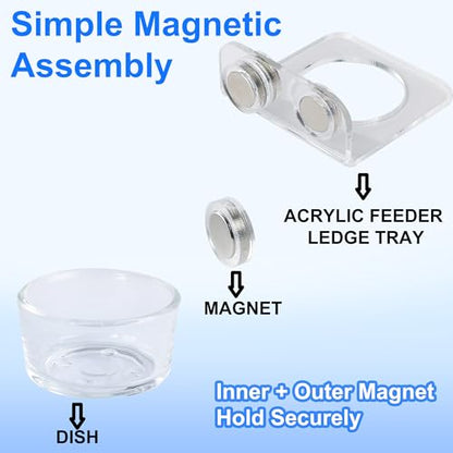 Magnetic Reptile Ledge - Acrylic Feeding Platform for Geckos & Spiders | Glass bowl & acrylic tray; for chameleon, bearded dragon, jumping spider; strong magnets; easy-clean; compact 2.6"x2.6"