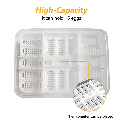 16-Grid Reptile Breeding Box - Professional Plastic Incubator for Gecko, Lizard & Mane Hatching