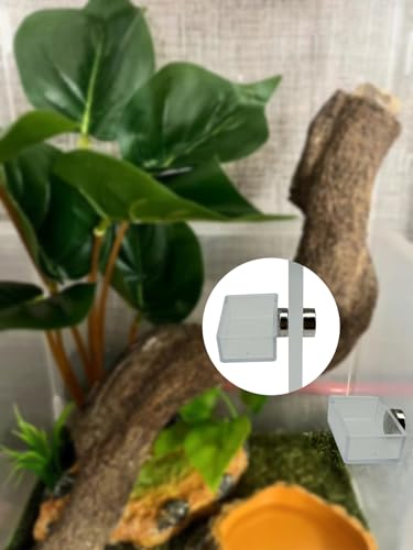 2 PCS Jumping Spider Feeding Dish, Tiny Food Dishes Water Dish for Jumping Spider, Tarantula and Other Small Pets,Transparent