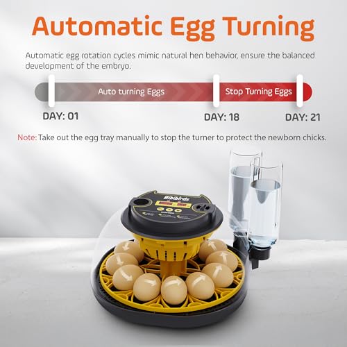Incubators for Hatching Eggs with Automatic Egg Turning and Humidity DisplayTemperature Control Auto Water Fill Egg Candler 12Egg Hatch Chick Quail Duck Turkey Goose Parrot Bird Eggs
