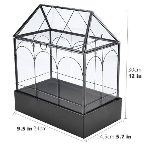 Glass Terrarium with Metal Tray, Glass Greenhouse Terrarium Kit for Succulents, Cacti, Snails, Spiders, and Miniature Reptiles, Black (Large-9.45" L x 5.7" W x 11.8" H) - size: Large-9.45"L x 5.7"W x 11.8"H