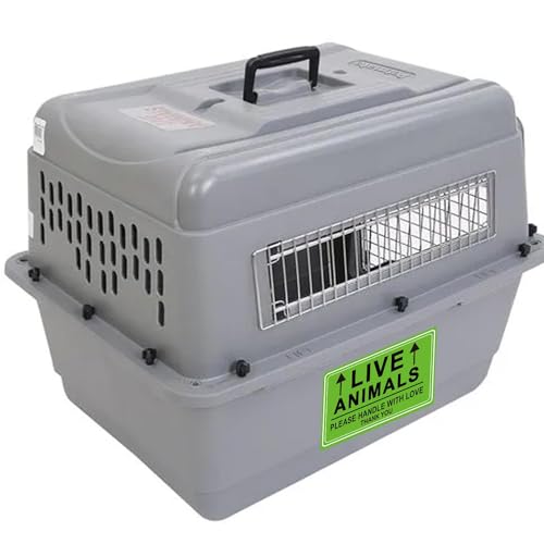 Live Animals Stickers for Pet Crate – 250Pcs Fluorescent Handling Labels for Pet Shipping, Airline Cargo, Breeder Transport, Animal Rescue & Veterinary Clinic – Please Handle with Love