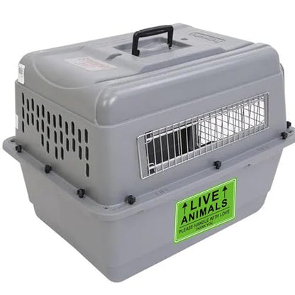 Live Animals Stickers for Pet Crate – 250Pcs Fluorescent Handling Labels for Pet Shipping, Airline Cargo, Breeder Transport, Animal Rescue & Veterinary Clinic – Please Handle with Love