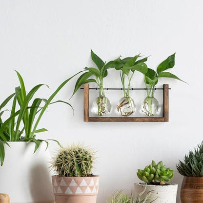 YIBOT Wall Hanging Planter Propagation Station 3 Bulb Glass Flower Vase | Plant Terrarium with Wooden Stand, Hydroponics Plants, Bathroom, Home Office Living Room Decor Gift - size: 3Bulb-M