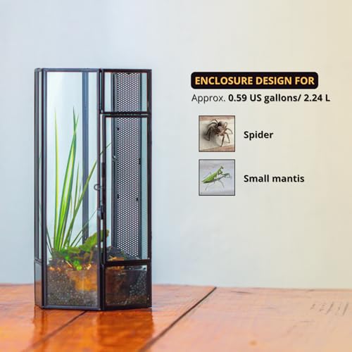 NCYP Small Glass Enclosure Terrarium with Mesh and Door for Spiders - Hexagon Shape Small Mantis Vented Glass Terrarium 4.9'' x 4.3'' x 9.4'', Tabletop Decor, Black (Plants Not Include)
