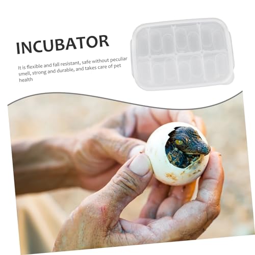 1pack Reptile Egg Incubator for Hatching Gecko Lizard and Design for Easy Visibility and Professional Breeding Box