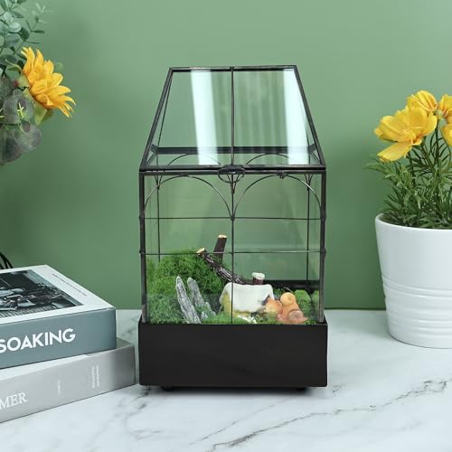 Glass Terrarium with Metal Tray, Glass Greenhouse Terrarium Kit | for Succulents, Cacti, Snails, Spiders, and Miniature Reptiles, Black (Small-5.9" L x 5.9" W x 10.2" H) - size: Small-5.9"L x 5.9"W x 10.2"H