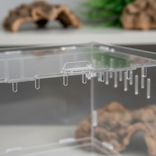 Transparent Reptile Enclosure Through Quality Clear Reptile Habitat Secure Latch Clear Acrylic Terrarium for Arachnid Enthusiasts, 25-15-15 - style: 25-15-15