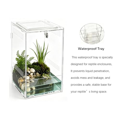 Vertical Acrylic Terrarium, 4.5" x 3.9" x 6.5" Clear Small Pet Enclosure with 304 Stainless Steel Mesh Top, Waterproof Base, Secure Door for Jumping Spider, Tarantula Sling and Small Invertebrates