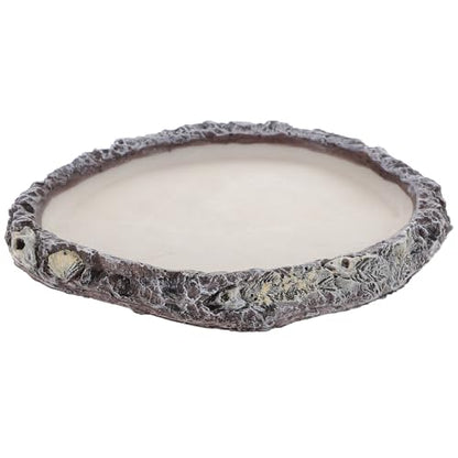 BESPORTBLE Reptile Water Bowl and Food Dish Resin Basin Shallow Pet Water Feeder for Turtles Lizards Snakes Bearded Dragons Terrarium Supplies