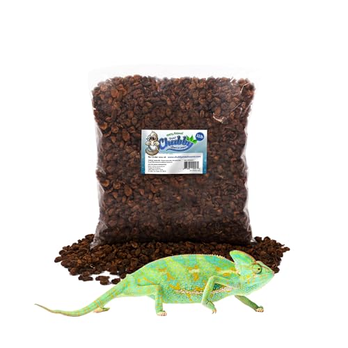 Chubby Dried Silkworm Pupae | 11 lbs | High-Protein Treat for Koi, Fish, Reptiles & Terrapins – Nutrient-Rich Calcium Snack - size: 11 Pound (Pack of 1)
