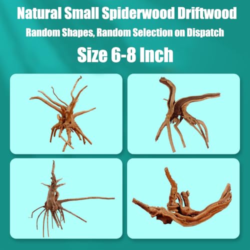 6 Pcs Natural Small Spiderwood Driftwood, 6-8 Inch Assorted Branches Aquarium Fish Tank Reptile Terrarium Landscape Decor - color: Spiderwood Driftwood 6 - 8IN