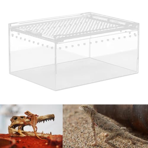 Reptile Breeding Box Terrarium breeding Box Acrylic Construction to Prevent Escapes Removable Basin for Quick Clean-up Suitable for, 20cmx15cmx10cm - size: 20cmx15cmx10cm