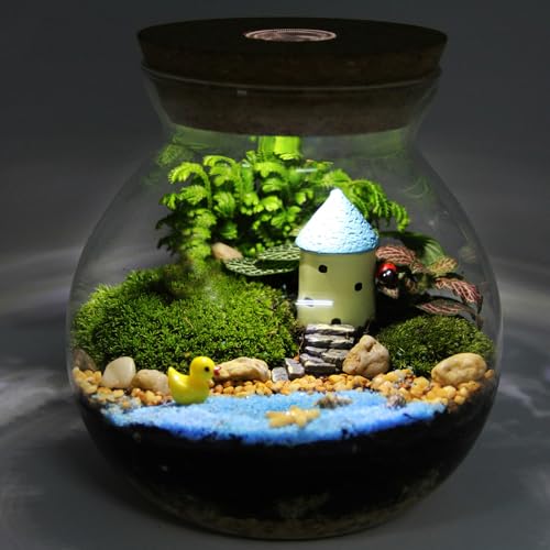 Glass Terrarium Jar with Led Light, Closed Terrarium Jar with Lid for Moss, Succulents and Betta Fish Tank, Large Clear Round Desk Plant Container Ecosystem for Home & Office Decor (no Plants) - size: 10.50X10.00X10.00CM