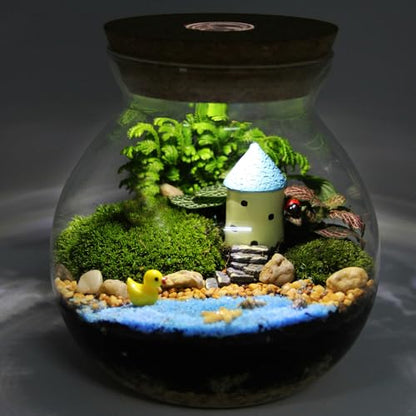 Glass Terrarium Jar with Led Light, Closed Terrarium Jar with Lid for Moss, Succulents and Betta Fish Tank, Large Clear Round Desk Plant Container Ecosystem for Home & Office Decor (no Plants) - size: 10.50X10.00X10.00CM