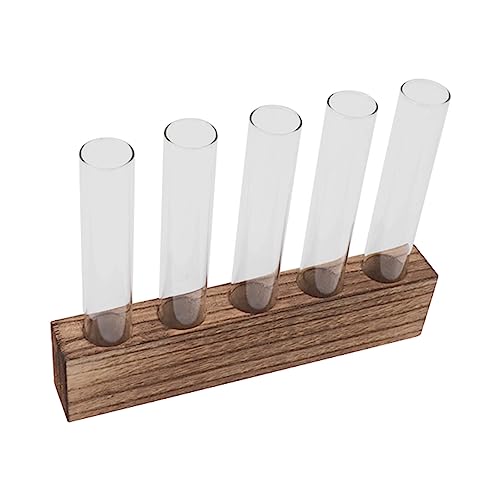 Pssopp Plant Propagation Station Glass Test Tube Plant Terrarium with Wooden Stand for Home Decor Office Living Room Garden (5 Tubes) - size: 5 Tubes