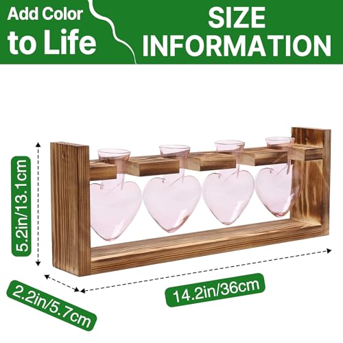 Plant Propagation Stations Heart Plant Terrarium Kit | Gift for Women Plant Lover Glass Vases - color: Pink