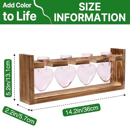 Plant Propagation Stations Heart Plant Terrarium Kit | Gift for Women Plant Lover Glass Vases - color: Pink