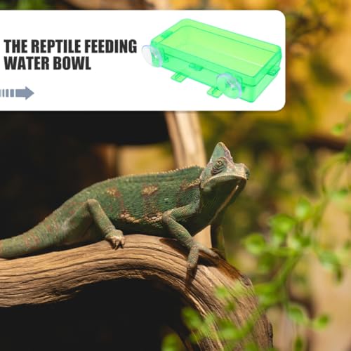 Reptile Feeding Trough and Water Dish with Anti-Escape Design, Large Green Non-Escape Food Bowl for Bearded Dragons, Geckos, Snakes, Suitable for Terrariums and Reptile Tanks